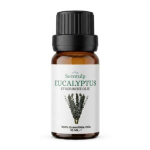 eucalyptus Etherische Olie Eucalyptus - BIO - 10ml | Scentulp