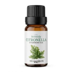 citronella Etherische Olie Citronella – BIO - 10ml | Scentulp